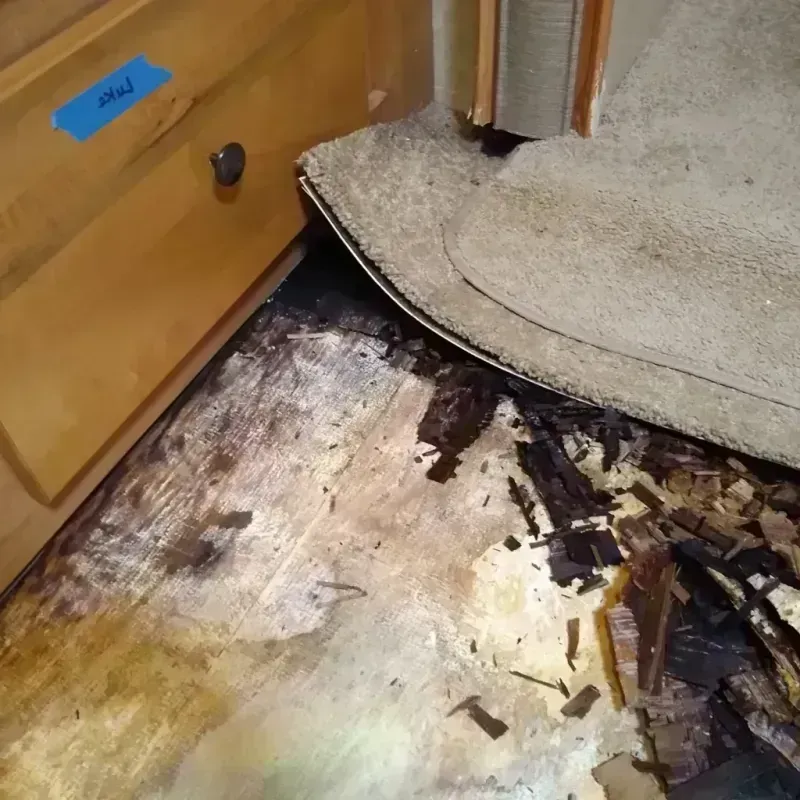 Wood Floor Water Damage in Elwood, NE